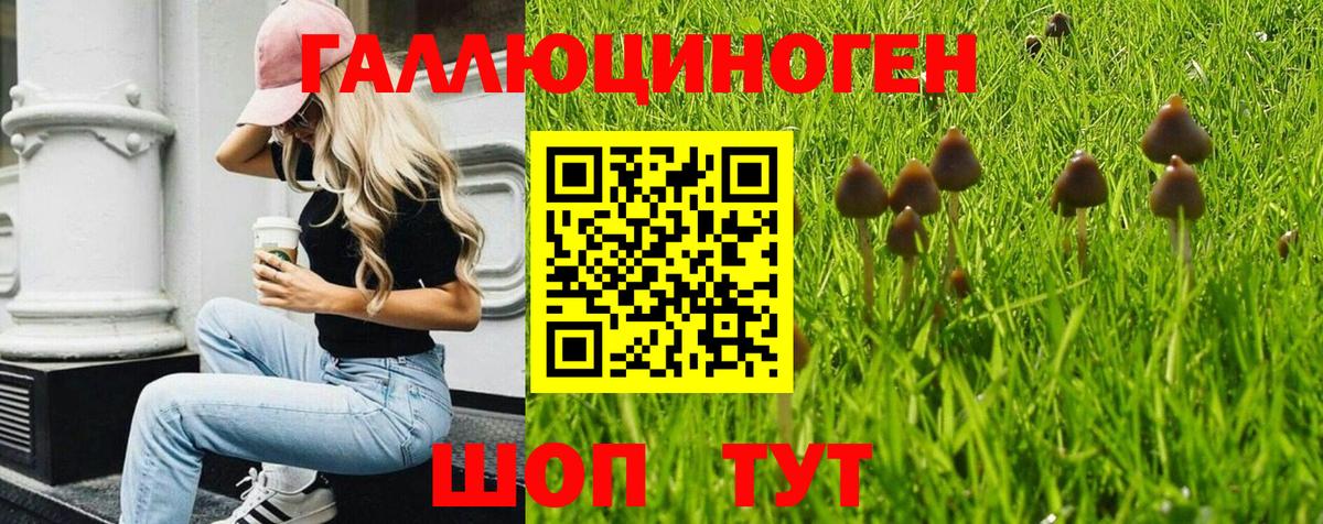 купить наркотики цена  Вход с VPN  Губаха  Псилоцибиновые грибы мухоморы 