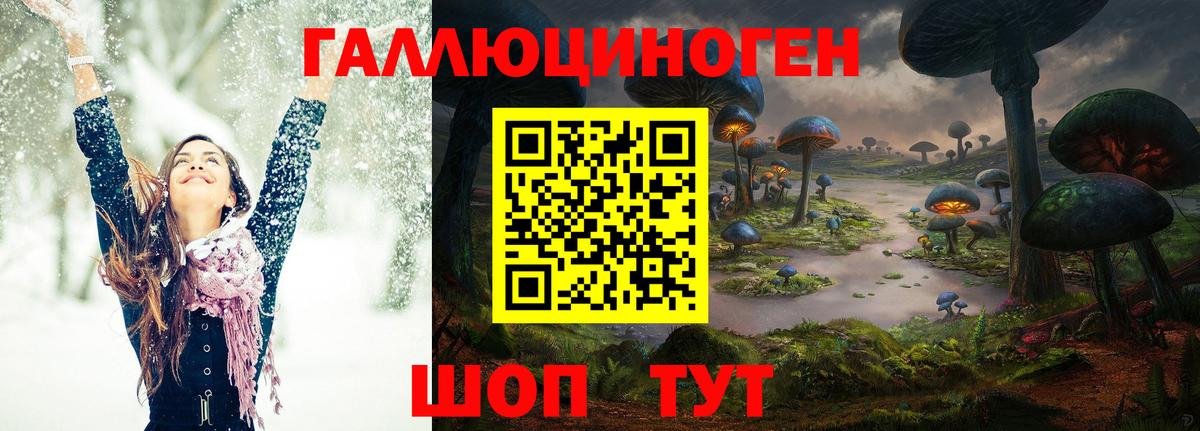 Псилоцибиновые грибы прущие грибы Губаха